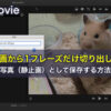iMovieで動画から1フレーズだけ切り出して写真（静止画）として保存する方法
