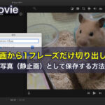 iMovieで動画から1フレーズだけ切り出して写真（静止画）として保存する方法