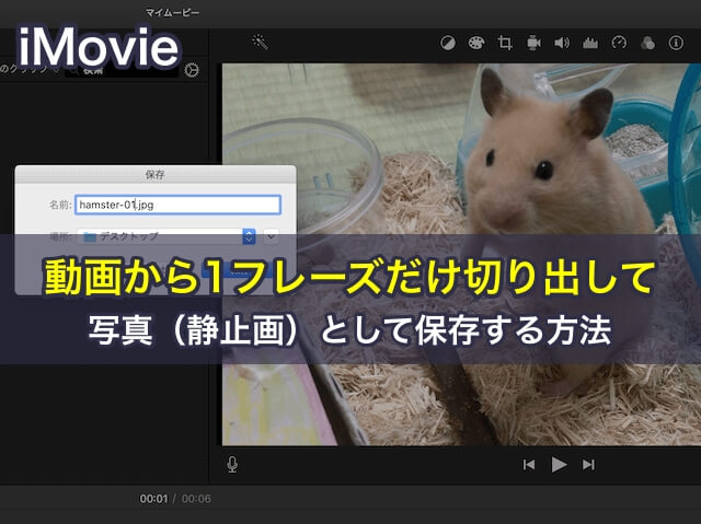 iMovieで動画から1フレーズだけ切り出して写真(静止画)として保存する方法