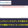 WordPressビジュアルリッチエディタが表示されず入力や編集ができなくなった時の対処法
