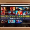 スパイダーマンシリーズを見る順番を時系列で紹介